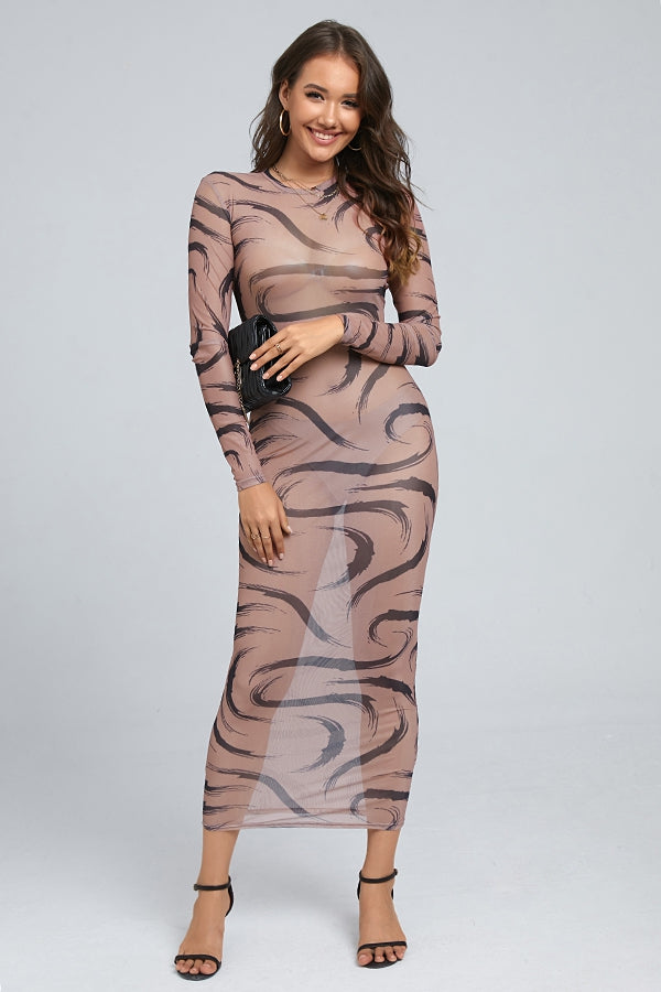 Printed Mesh Long Sleeve Dress